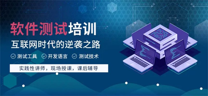 广州软件开发：从初学者到专业团队的蜕变之旅